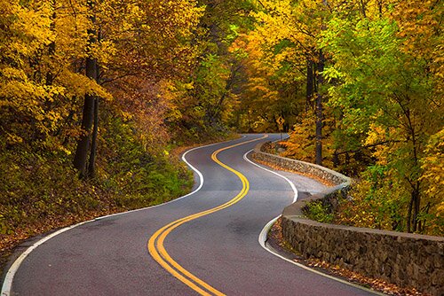 Has Your Career Path Been A Winding Road?