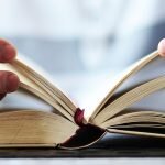 Книги о скальпинге: Форекс Цена Скальпинг действий